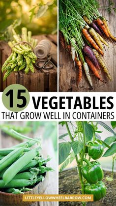 Here are the top vegetables to grow in a container or pot. Container vegetable gardening is a good garden plan if you have a small space for your garden or you want to add some more veggies to garden harvest this year. These veggie container garden tips are great for beginners or avid gardeners. Growing vegetables in pots or containers made easy. Add these vegetable varieties to your container vegetable garden this summer. DIY container garden for vegetables. Container edible garden ideas easy. Container Gardening On A Budget, Best Vegetables For Container Gardening, Flower Pot Vegetable Garden Ideas, Growing In Containers Vegetables, Patio Vegetable Garden Containers, Diy Pot Garden, Diy Garden Containers, Diy Vegetable Planters, Easy Container Gardening Vegetables