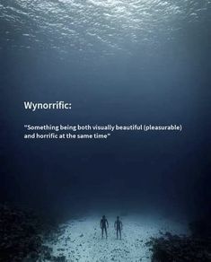 two people standing in the middle of a body of water with words above them that read wynorricc something being both beautiful and horritic at the same time