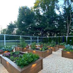 an outdoor garden with many different types of plants and lights on the side of it