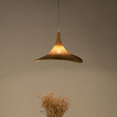 a lamp hanging from the ceiling over a vase with dried flowers in it