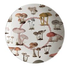 a plate with various mushrooms on it