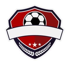 a soccer ball with a ribbon around it on top of a shield and laurels