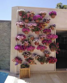 many potted flowers are hanging on the side of a wall next to a swimming pool