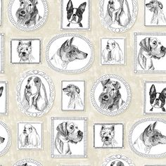 a wallpaper with dogs on it in black and white, as well as pictures of them