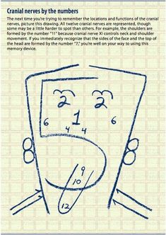 an image of a cartoon character with the caption canal neves by the numbers