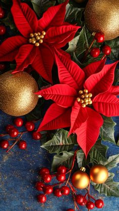 poinsettia and holly with gold ornaments on blue background