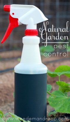 a spray bottle sitting on top of a garden bed next to green plants with the words natural garden pest control