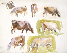 several cows are shown in this watercolor painting on paper, including one brown and white cow