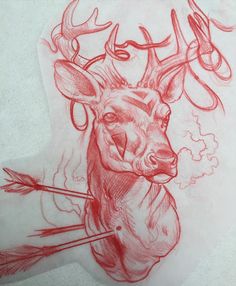 a drawing of a deer with arrows in its antlers