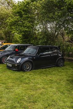 three minis parked in the grass near trees