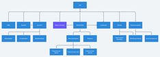 a blue and purple family tree is shown in this graphic diagram, it shows the number of people who have been married