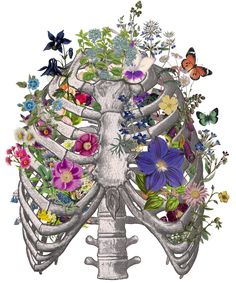 a drawing of the rib cage with flowers and butterflies around it