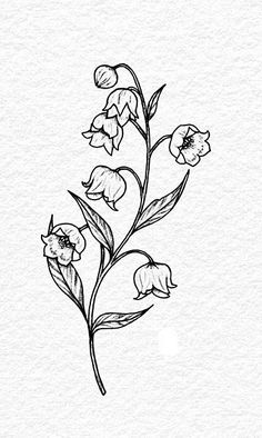 16 Tattoo, Miami Ink, Arte Doodle, Tattoo Portfolio, 자수 디자인, 판타지 아트, Tattoo Design Drawings