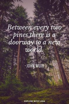 trees with the quote between every two pines there is a doorway to a new world