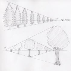 three trees are shown in this drawing with the same line drawn on paper, and one is