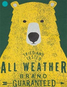 a yellow bear with the words all weather and quainted on it's face