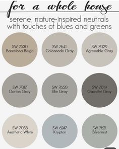 the colors for a whole house are shown in shades of gray, white and grey