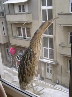 a bird standing on top of a window sill in front of a tall building