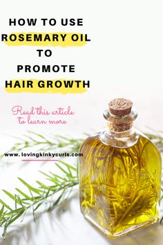 Using Rosemary For Hair, Organic Rosemary Oil, Diy Rosemary Essential Oil, Rosemary Essential Oil Uses, Rosemary Oil Benefits, Benefits Of Rosemary Oil, Rosemary Essential Oil For Hair, Rosemary For Hair, Homemade Hair Oil