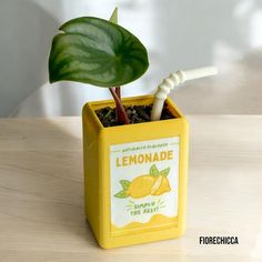 a small yellow lemonade box with a toothbrush in it and a green leaf