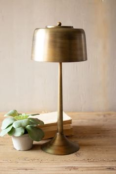 a small potted plant sitting on top of a wooden table next to a lamp