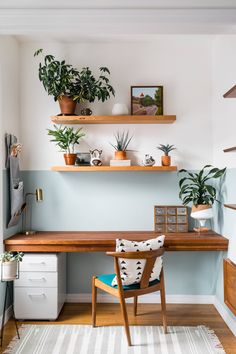 a desk with some plants on top of it and two shelves above the desk that have bookshelves