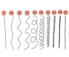 Curl Pattern Chart Curl Pattern Chart, Curl Type Chart, Hair Texture Chart, Afro Hair Types, Hair Type Chart, Hair Chart, Black Hair Types, Different Types Of Curls, Different Curls