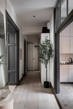 the hallway is clean and ready for guests to use it as an entrance way in this modern home