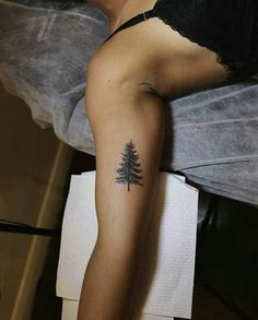 a small pine tree tattoo on the arm