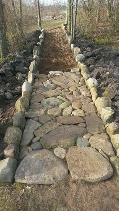 a stone path is lined with trees and rocks