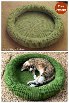 a cat sleeping in a green knitted bed on the floor and an image of a cat curled up inside it