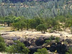 an open field with trees and rocks in the background