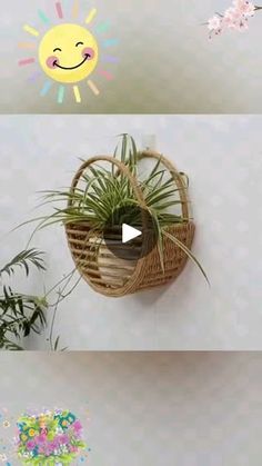 592 reactions · 91 shares | Nicho para plantas 🪴

#nicho #plantas #criatividade #ideias #diy #facavocemesmo | Mary Anne | Diy