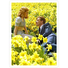 a man and woman are sitting in a field of yellow daffodils looking at each other