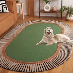 a large white dog laying on top of a green rug