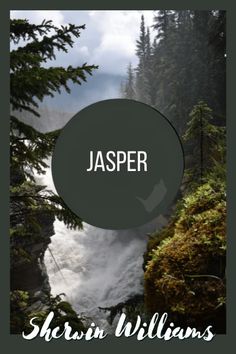 the words jasper written in front of a waterfall and trees with water coming out of it