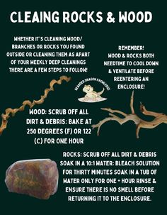 an info sheet describing how to clean rocks and wood with instructions on how to clean them