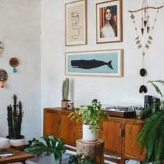 a living room filled with plants and pictures on the wall