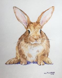 a watercolor painting of a brown rabbit