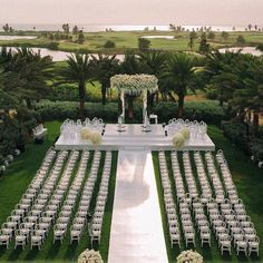 an outdoor ceremony setup with white chairs and floral centerpieces on the lawn, surrounded by palm trees