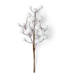 a branch with white balls on it against a white background, in the shape of a tree