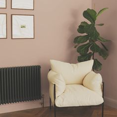 a white chair sitting next to a green plant on top of a hard wood floor