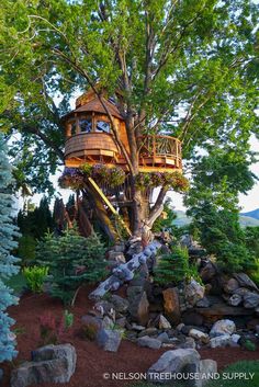 a tree house built into the side of a large tree in a park with rocks and trees around it