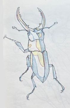 a drawing of a bug on white paper