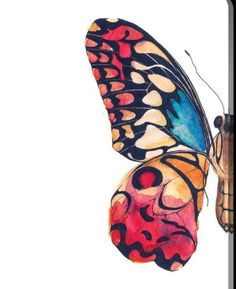 a watercolor painting of a colorful butterfly on a white background with the wings open