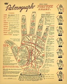 an old poster with many different hand gestures on it's sides and the words palmogaph written in red