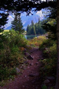 a trail winds through the woods towards a lake with mountains in the distance and trees on either side