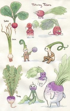 an illustrated drawing of various vegetables and plants