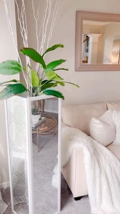 a living room filled with furniture and a plant in a tall white vase on top of a table