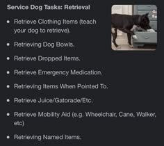 the service dog task is to retrieve items that may be in their home or office